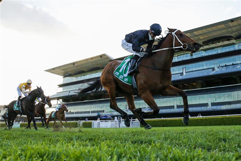 SYDNEY, AUSTRALIA - OCTOBER 09: Jason Collett on Leo wins race 10 the Dyson Sprint during Sydney Racing at Royal Randwick Racecourse on October 09, 2021 in Sydney, Australia. (Photo by Mark Evans/Getty Images)