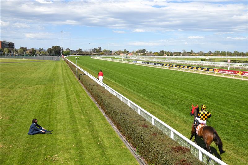 MELBOURNE, AUSTRALIA - OCTOBER 09: Brett Prebble riding Probabeel to the start before winning in race 6, the Neds Might And Power, during Melbourne Racing at Caulfield Racecourse on October 09, 2021 in Melbourne, Australia. (Photo by Vince Caligiuri/Getty Images)