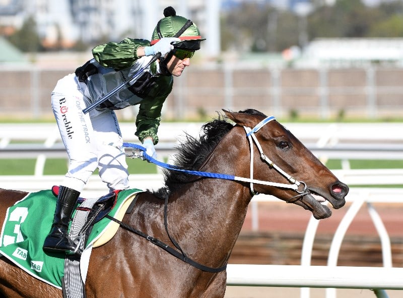 Caulfield Cup Betting Odds