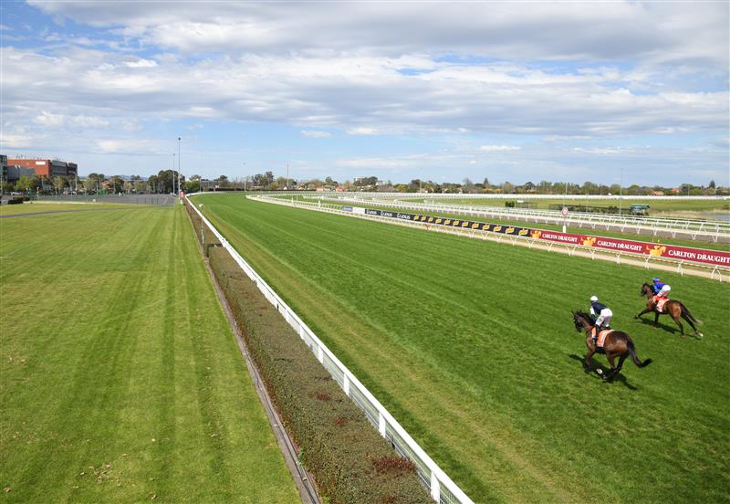 MELBOURNE, AUSTRALIA - OCTOBER 09: Craig Williams riding Zaaki and Jye McNeil riding Homesman before race 6, the Neds Might And Power, during Melbourne Racing at Caulfield Racecourse on October 09, 2021 in Melbourne, Australia. (Photo by Vince Caligiuri/Getty Images)