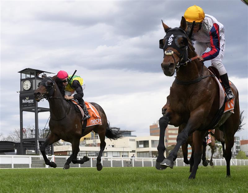MELBOURNE, AUSTRALIA - OCTOBER 09: Damien Oliver riding Delphi winning Race 10, Neds Herbert Power Stakes, during Melbourne Racing at Caulfield Racecourse on October 09, 2021 in Melbourne, Australia. (Photo by Vince Caligiuri/Getty Images)
