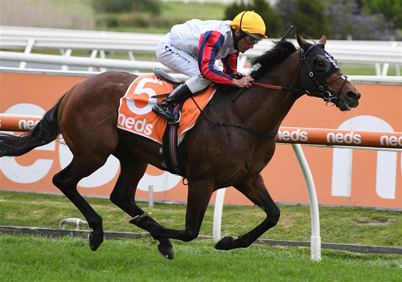 MELBOURNE, AUSTRALIA - OCTOBER 09: Damien Oliver riding Delphi winning Race 10, Neds Herbert Power Stakes, during Melbourne Racing at Caulfield Racecourse on October 09, 2021 in Melbourne, Australia. (Photo by Vince Caligiuri/Getty Images)