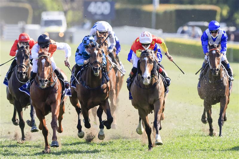 SYDNEY, AUSTRALIA - OCTOBER 09: Hugh Bowman on Aim wins race 7 the Silver Eagle during Sydney Racing at Royal Randwick Racecourse on October 09, 2021 in Sydney, Australia. (Photo by Mark Evans/Getty Images)