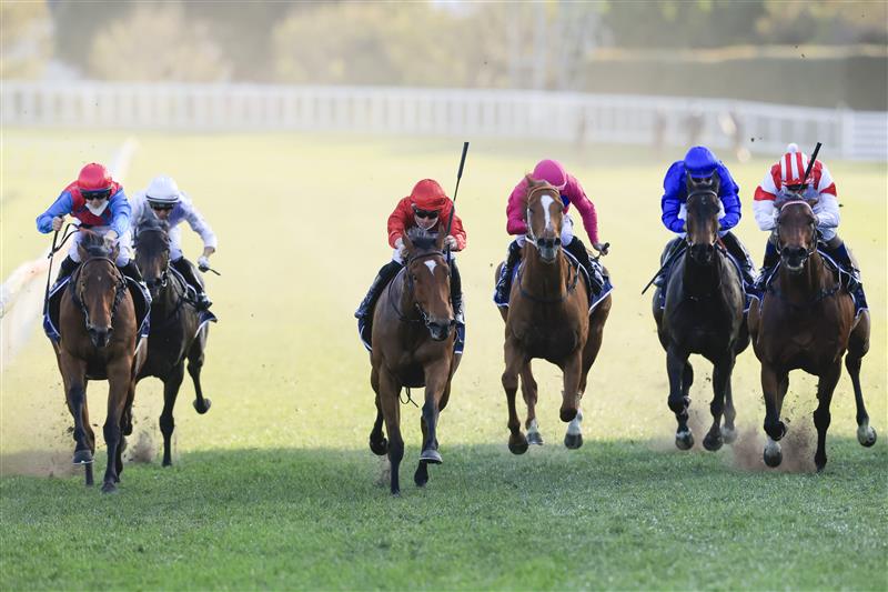 SYDNEY, AUSTRALIA - OCTOBER 09: James McDonald on Minhaaj wins race 9 The Nivison during Sydney Racing at Royal Randwick Racecourse on October 09, 2021 in Sydney, Australia. (Photo by Mark Evans/Getty Images)