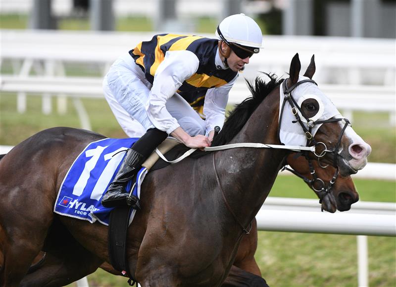 MELBOURNE, AUSTRALIA - OCTOBER 09: Jye McNeil riding I'm Thunderstruck to win race 9, the Toorak Handicap during Melbourne Racing at Caulfield Racecourse on October 09, 2021 in Melbourne, Australia. (Getty)