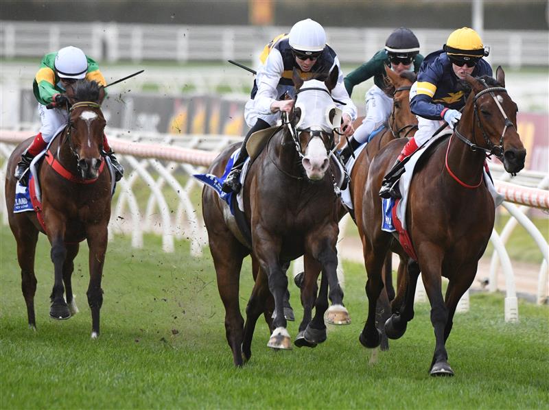 MELBOURNE, AUSTRALIA - OCTOBER 09: Jye McNeil riding I'm Thunderstruck to win race 9, the Toorak Handicap during Melbourne Racing at Caulfield Racecourse on October 09, 2021 in Melbourne, Australia. (Getty)
