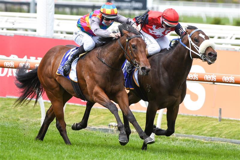 MELBOURNE, AUSTRALIA - OCTOBER 09: Damian Lane riding Kiki Express defeats Luke Nolen riding Brereton (r) in Race 1, the Magic Millions Debutant Stakes during Melbourne Racing at Caulfield Racecourse on October 09, 2021 in Melbourne, Australia. (Photo by Vince Caligiuri/Getty Images)