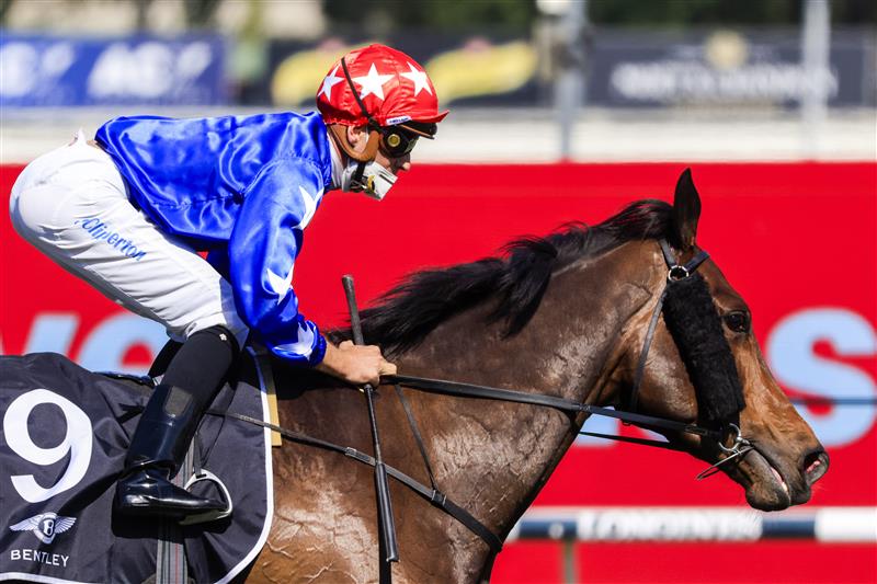 SYDNEY, AUSTRALIA - OCTOBER 09: Sam Clipperton on Mirra Vision returns to scale after winning race 6 the Bentley Angst Stakes during Sydney Racing at Royal Randwick Racecourse on October 09, 2021 in Sydney, Australia. (Photo by Mark Evans/Getty Images)