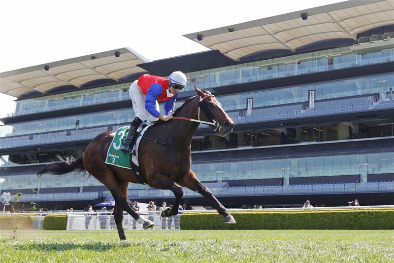 SYDNEY, AUSTRALIA - OCTOBER 09: Tommy Berry on Hilal wins race 4 the Heineken 3 Stan Fox Stakes during Sydney Racing at Royal Randwick Racecourse on October 09, 2021 in Sydney, Australia. (Photo by Mark Evans/Getty Images)