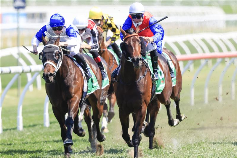 SYDNEY, AUSTRALIA - OCTOBER 09: Tommy Berry on Hilal wins race 4 the Heineken 3 Stan Fox Stakes during Sydney Racing at Royal Randwick Racecourse on October 09, 2021 in Sydney, Australia. (Photo by Mark Evans/Getty Images)