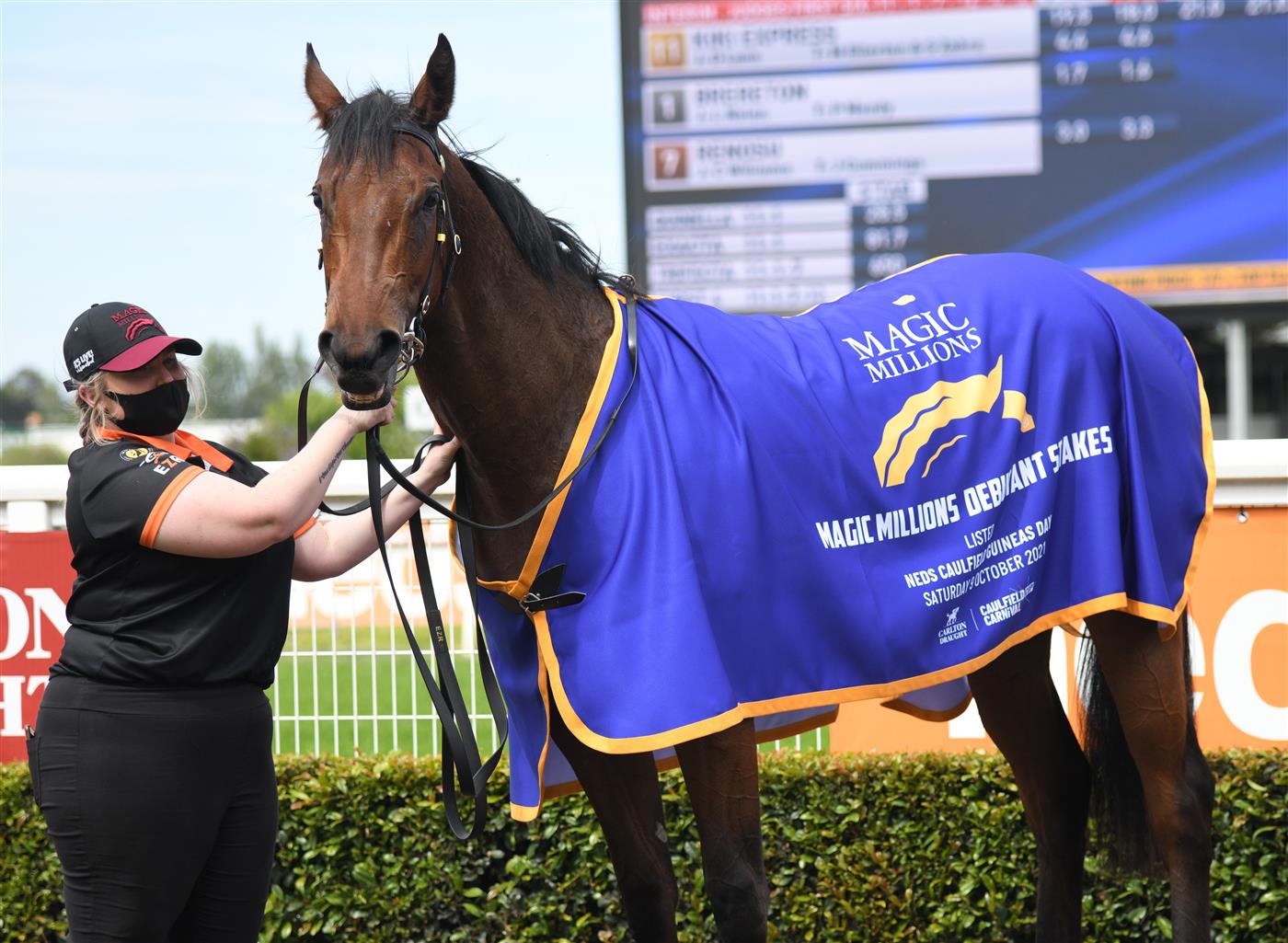 MELBOURNE, AUSTRALIA - OCTOBER 09: Kiki Express after winning in Race 1, the Magic Millions Debutant Stakes during Melbourne Racing at Caulfield Racecourse on October 09, 2021 in Melbourne, Australia. (Photo by Vince Caligiuri/Getty Images)