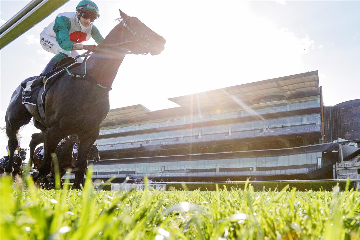 SYDNEY, AUSTRALIA - OCTOBER 09: Robbie Dolan on Profondo wins race 8 the Moet & Chandon Spring Champion Stakes during Sydney Racing at Royal Randwick Racecourse on October 09, 2021 in Sydney, Australia. (Photo by Mark Evans/Getty Images)