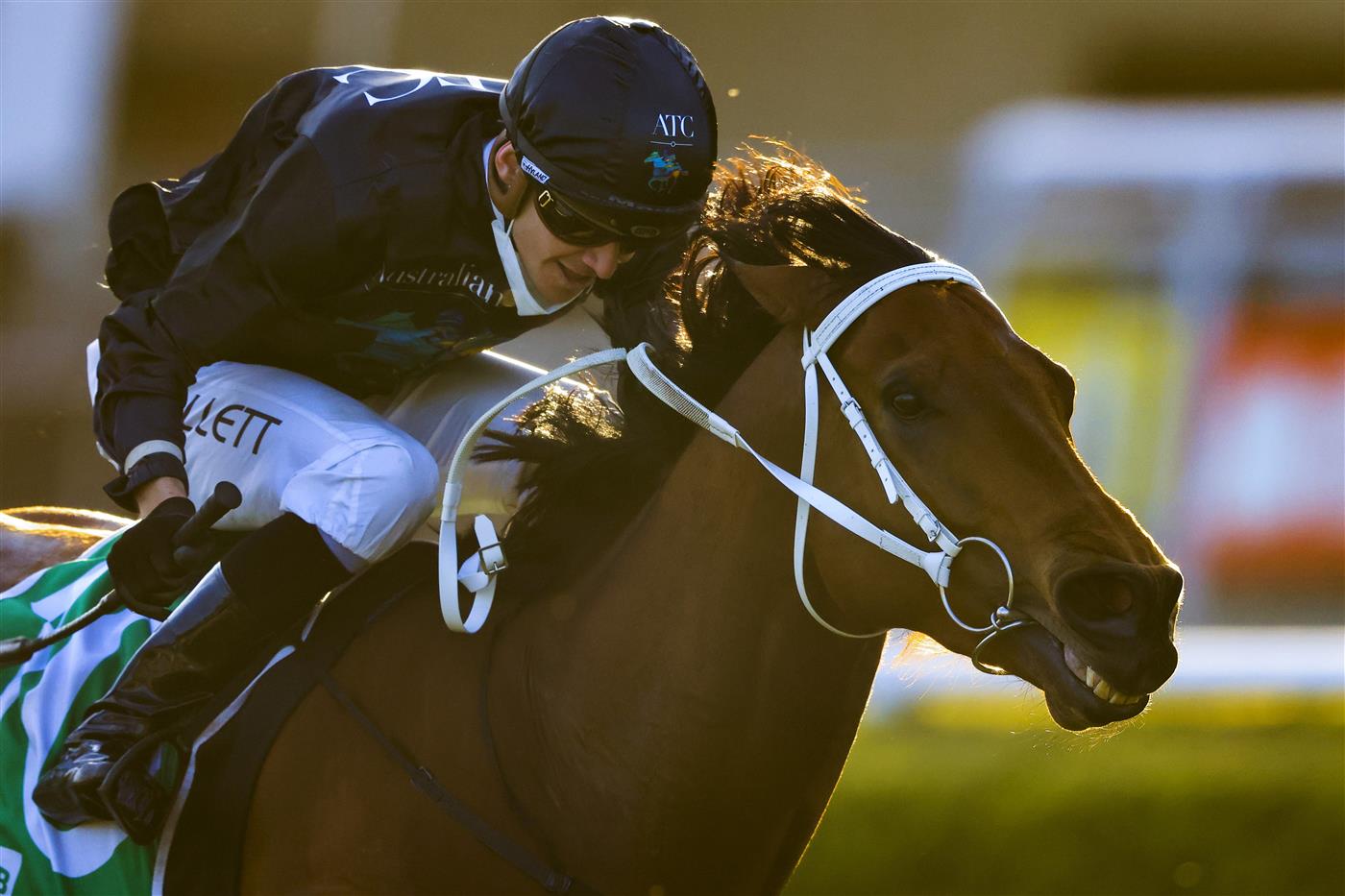 SYDNEY, AUSTRALIA - OCTOBER 09: Jason Collett on Leo wins race 10 the Dyson Sprint during Sydney Racing at Royal Randwick Racecourse on October 09, 2021 in Sydney, Australia. (Photo by Mark Evans/Getty Images)