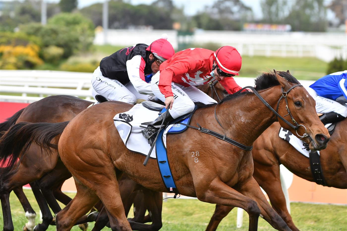 MELBOURNE, AUSTRALIA - OCTOBER 09: Linda Meech riding Sneaky Five winning Race 4, the Thoroughbred Club Stakes,  during Melbourne Racing at Caulfield Racecourse on October 09, 2021 in Melbourne, Australia. (Photo by Vince Caligiuri/Getty Images)