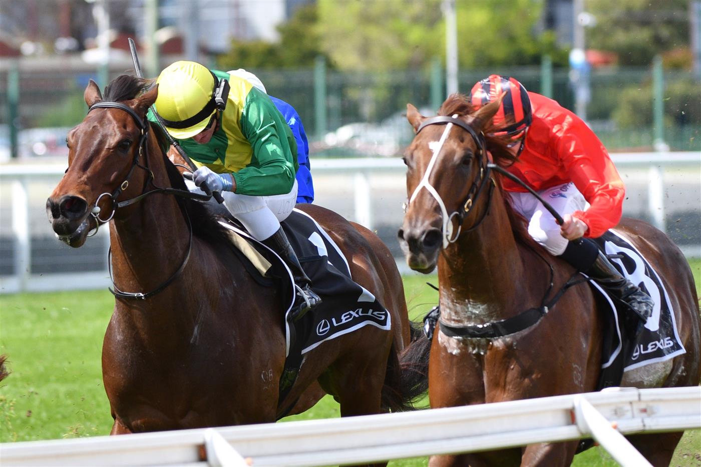MELBOURNE, AUSTRALIA - OCTOBER 09: Luke Currie riding Savatoxl (L) defeats Michael Dee riding Dosh in race 5,  the Lexus Schillaci Stakes, during Melbourne Racing at Caulfield Racecourse on October 09, 2021 in Melbourne, Australia. (Photo by Vince Caligiuri/Getty Images)