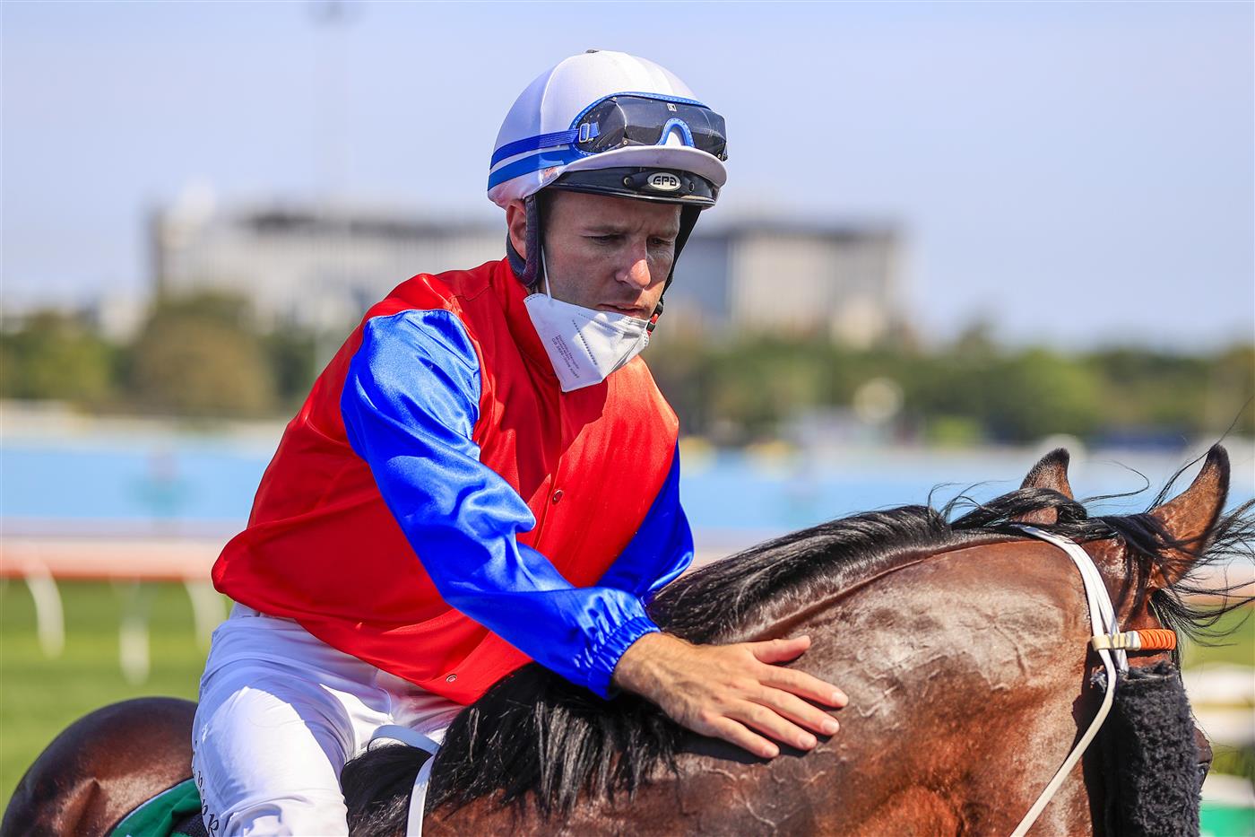 SYDNEY, AUSTRALIA - OCTOBER 09: Tommy Berry pats Hilal after winning race 4 the Heineken 3 Stan Fox Stakes during Sydney Racing at Royal Randwick Racecourse on October 09, 2021 in Sydney, Australia. (Photo by Mark Evans/Getty Images)