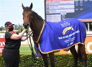 MELBOURNE, AUSTRALIA - OCTOBER 09: Kiki Express after winning in Race 1, the Magic Millions Debutant Stakes during Melbourne Racing at Caulfield Racecourse on October 09, 2021 in Melbourne, Australia. (Photo by Vince Caligiuri/Getty Images)