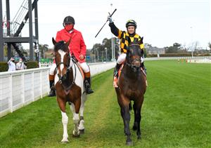 MELBOURNE, AUSTRALIA - OCTOBER 09: Brett Prebble riding Probabeel after winning in race 6, the Neds Might And Power, during Melbourne Racing at Caulfield Racecourse on October 09, 2021 in Melbourne, Australia. (Photo by Vince Caligiuri/Getty Images)