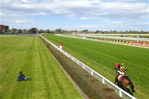 MELBOURNE, AUSTRALIA - OCTOBER 09: Brett Prebble riding Probabeel to the start before winning in race 6, the Neds Might And Power, during Melbourne Racing at Caulfield Racecourse on October 09, 2021 in Melbourne, Australia. (Photo by Vince Caligiuri/Getty Images)