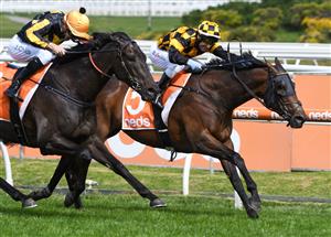 MELBOURNE, AUSTRALIA - OCTOBER 09: Brett Prebble riding Probabeel defeats Jordan Childs riding Nonconformist in race 6, the Neds Might And Power, during Melbourne Racing at Caulfield Racecourse on October 09, 2021 in Melbourne, Australia. (Photo by Vince Caligiuri/Getty Images)