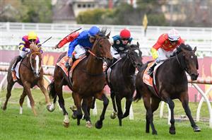 Caulfield Guineas Day Highlights
