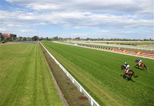MELBOURNE, AUSTRALIA - OCTOBER 09: Craig Williams riding Zaaki and Jye McNeil riding Homesman before race 6, the Neds Might And Power, during Melbourne Racing at Caulfield Racecourse on October 09, 2021 in Melbourne, Australia. (Photo by Vince Caligiuri/Getty Images)