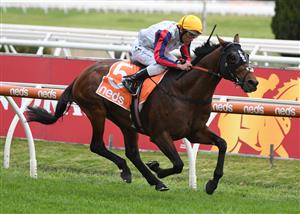 MELBOURNE, AUSTRALIA - OCTOBER 09: Damien Oliver riding Delphi winning Race 10, Neds Herbert Power Stakes, during Melbourne Racing at Caulfield Racecourse on October 09, 2021 in Melbourne, Australia. (Photo by Vince Caligiuri/Getty Images)