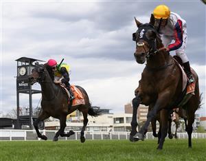MELBOURNE, AUSTRALIA - OCTOBER 09: Damien Oliver riding Delphi winning Race 10, Neds Herbert Power Stakes, during Melbourne Racing at Caulfield Racecourse on October 09, 2021 in Melbourne, Australia. (Photo by Vince Caligiuri/Getty Images)