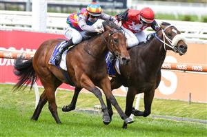 MELBOURNE, AUSTRALIA - OCTOBER 09: Damian Lane riding Kiki Express defeats Luke Nolen riding Brereton (r) in Race 1, the Magic Millions Debutant Stakes during Melbourne Racing at Caulfield Racecourse on October 09, 2021 in Melbourne, Australia. (Photo by Vince Caligiuri/Getty Images)