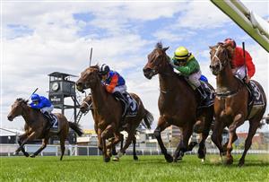 MELBOURNE, AUSTRALIA - OCTOBER 09: Luke Currie riding Savatoxl (ctr) defeats Michael Dee riding Dosh in race 5, the Lexus Schillaci Stakes, during Melbourne Racing at Caulfield Racecourse on October 09, 2021 in Melbourne, Australia. (Photo by Vince Caligiuri/Getty Images)