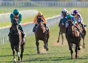Randwick Highlights - Spring Champion Stakes Day