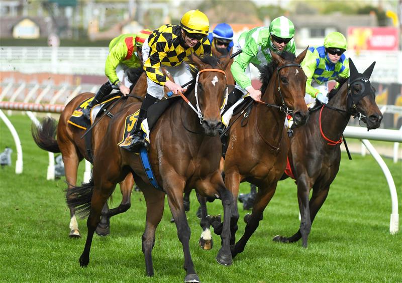 MELBOURNE, AUSTRALIA - OCTOBER 13:  Damien Thornton riding Yearning winning Race 7, the Schweppes Thousand Guineas,  during Thousand Guineas Day at Caulfield Racecourse on October 13, 2021 in Melbourne, Australia. (Photo by Vince Caligiuri/Getty Images)