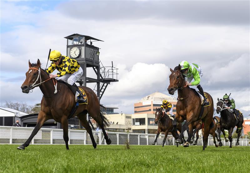 MELBOURNE, AUSTRALIA - OCTOBER 13:  Damien Thornton riding Yearning winning Race 7, the Schweppes Thousand Guineas,  during Thousand Guineas Day at Caulfield Racecourse on October 13, 2021 in Melbourne, Australia. (Photo by Vince Caligiuri/Getty Images)