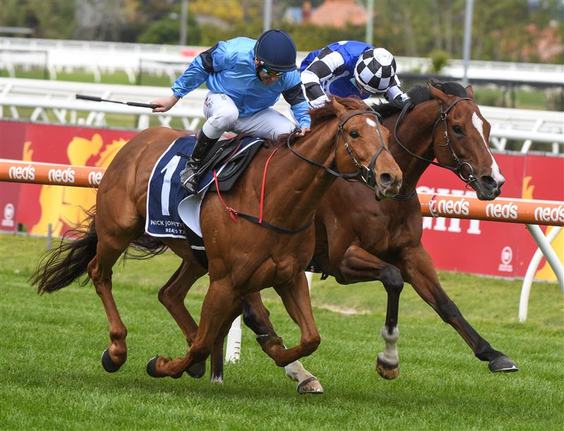 MELBOURNE, AUSTRALIA - OCTOBER 13: Brett Prebble riding Durston winning Race 3, the Nick Johnstone Real Estate Handicap, during Thousand Guineas Day at Caulfield Racecourse on October 13, 2021 in Melbourne, Australia. (Photo by Vince Caligiuri/Getty Images)