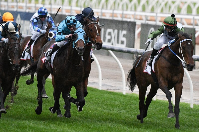 caulfield cup odds 2021