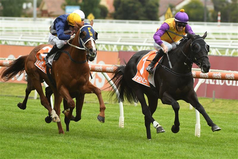 MELBOURNE, AUSTRALIA - OCTOBER 13: Jordan Childs riding Rhinoceros winning Race 1, the Thoroughbred Breeders Vic Handicap, during Thousand Guineas Day at Caulfield Racecourse on October 13, 2021 in Melbourne, Australia. (Photo by Vince Caligiuri/Getty Images)