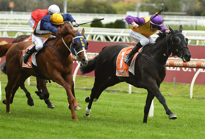 MELBOURNE, AUSTRALIA - OCTOBER 13: Jordan Childs riding Rhinoceros winning Race 1, the Thoroughbred Breeders Vic Handicap, during Thousand Guineas Day at Caulfield Racecourse on October 13, 2021 in Melbourne, Australia. (Photo by Vince Caligiuri/Getty Images)