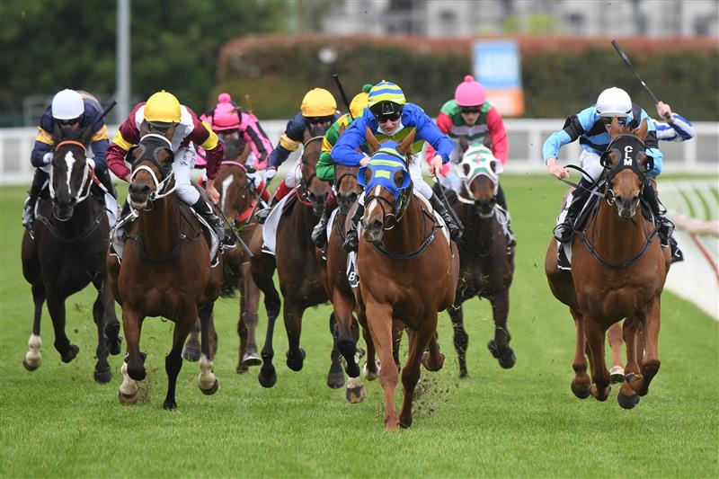 MELBOURNE, AUSTRALIA - OCTOBER 13: Linda Meech riding Wil John winning Race 4, the Beck Probuild Handicap, during Thousand Guineas Day at Caulfield Racecourse on October 13, 2021 in Melbourne, Australia. (Photo by Vince Caligiuri/Getty Images)
