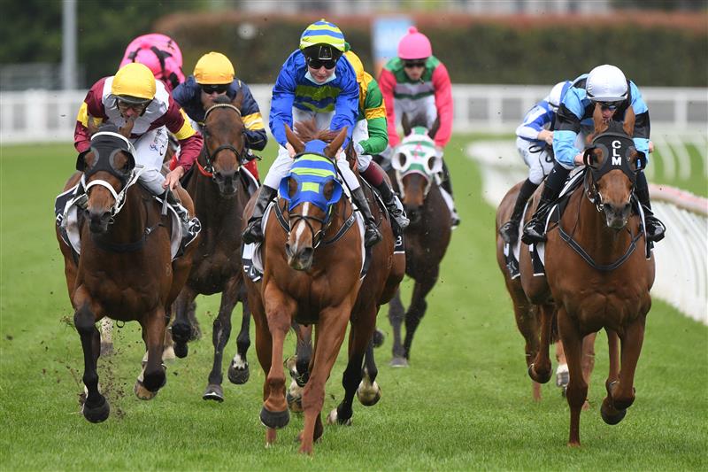 MELBOURNE, AUSTRALIA - OCTOBER 13: Linda Meech riding Wil John winning Race 4, the Beck Probuild Handicap, during Thousand Guineas Day at Caulfield Racecourse on October 13, 2021 in Melbourne, Australia. (Photo by Vince Caligiuri/Getty Images)