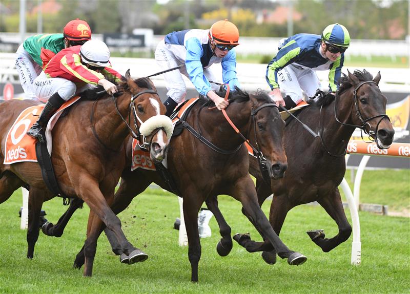 MELBOURNE, AUSTRALIA - OCTOBER 13: Michael Dee riding Duais (ctr) defeats Wentwood and Floating Artist (r) in Race 2, the Neds Coongy Cup,  during Thousand Guineas Day at Caulfield Racecourse on October 13, 2021 in Melbourne, Australia. (Photo by Vince Caligiuri/Getty Images)