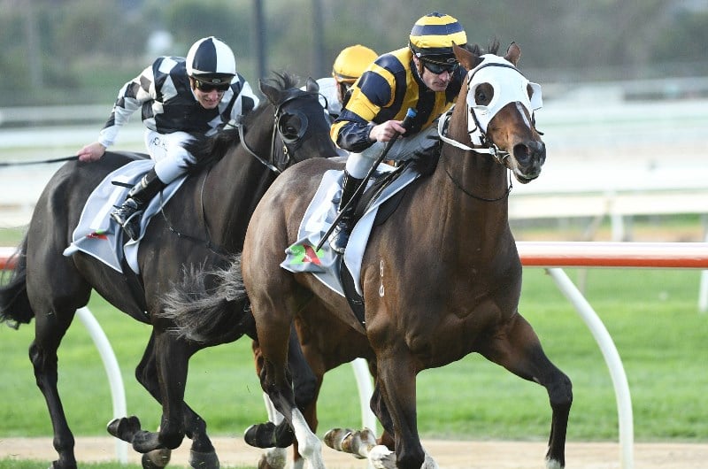 Warrnambool Betting Tips