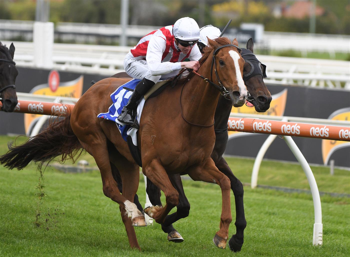 MELBOURNE, AUSTRALIA - OCTOBER 13: Jye McNeil riding Agreeable winning  race 5,  the Hyland Race Colours Handicap, during Thousand Guineas Day at Caulfield Racecourse on October 13, 2021 in Melbourne, Australia. (Photo by Vince Caligiuri/Getty Images)
