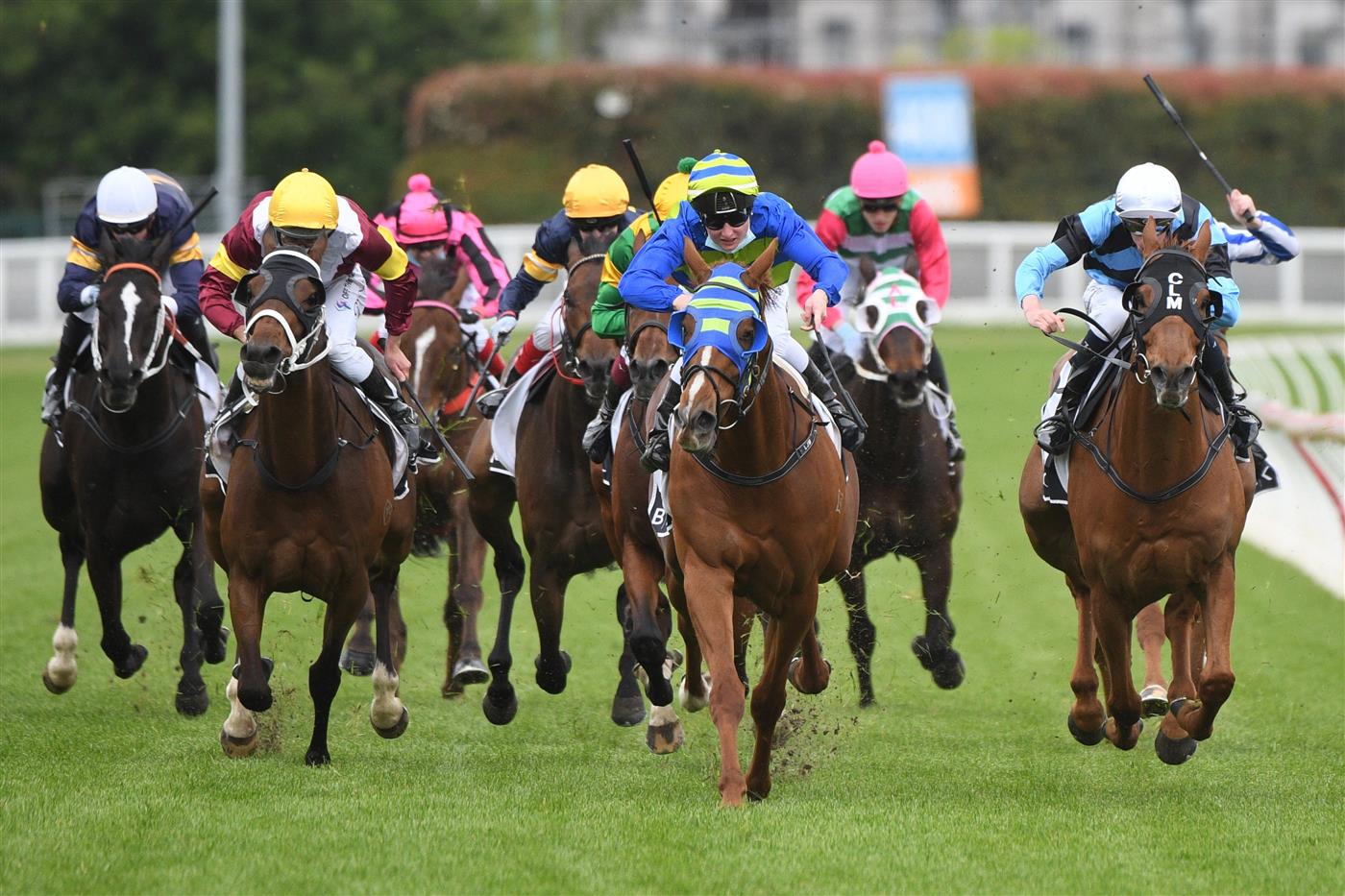 MELBOURNE, AUSTRALIA - OCTOBER 13: Linda Meech riding Wil John winning Race 4, the Beck Probuild Handicap, during Thousand Guineas Day at Caulfield Racecourse on October 13, 2021 in Melbourne, Australia. (Photo by Vince Caligiuri/Getty Images)
