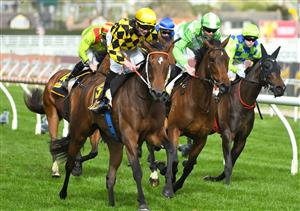 MELBOURNE, AUSTRALIA - OCTOBER 13:  Damien Thornton riding Yearning winning Race 7, the Schweppes Thousand Guineas,  during Thousand Guineas Day at Caulfield Racecourse on October 13, 2021 in Melbourne, Australia. (Photo by Vince Caligiuri/Getty Images)