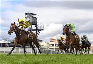 MELBOURNE, AUSTRALIA - OCTOBER 13:  Damien Thornton riding Yearning winning Race 7, the Schweppes Thousand Guineas,  during Thousand Guineas Day at Caulfield Racecourse on October 13, 2021 in Melbourne, Australia. (Photo by Vince Caligiuri/Getty Images)