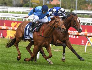 MELBOURNE, AUSTRALIA - OCTOBER 13: Brett Prebble riding Durston winning Race 3, the Nick Johnstone Real Estate Handicap, during Thousand Guineas Day at Caulfield Racecourse on October 13, 2021 in Melbourne, Australia. (Photo by Vince Caligiuri/Getty Images)