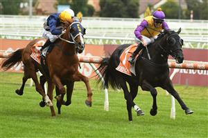 MELBOURNE, AUSTRALIA - OCTOBER 13: Jordan Childs riding Rhinoceros winning Race 1, the Thoroughbred Breeders Vic Handicap, during Thousand Guineas Day at Caulfield Racecourse on October 13, 2021 in Melbourne, Australia. (Photo by Vince Caligiuri/Getty Images)