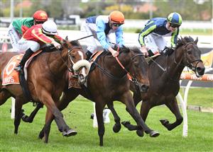 MELBOURNE, AUSTRALIA - OCTOBER 13: Michael Dee riding Duais (ctr) defeats Wentwood and Floating Artist (r) in Race 2, the Neds Coongy Cup,  during Thousand Guineas Day at Caulfield Racecourse on October 13, 2021 in Melbourne, Australia. (Photo by Vince Caligiuri/Getty Images)