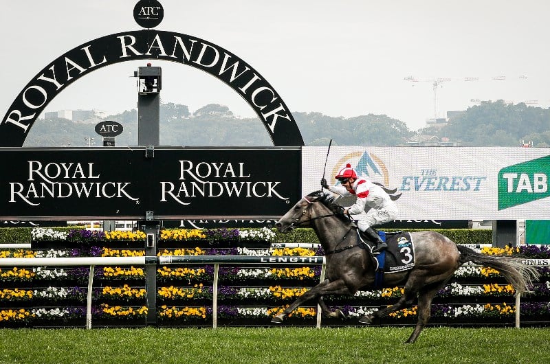 The Everest Live Stream Watch the Randwick race streamed live