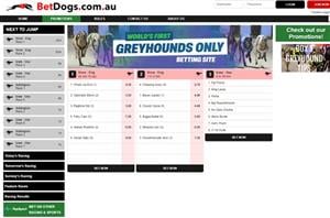 BetDogs Promo Code BETS - Join the Greyhound Specialist Bookmaker
